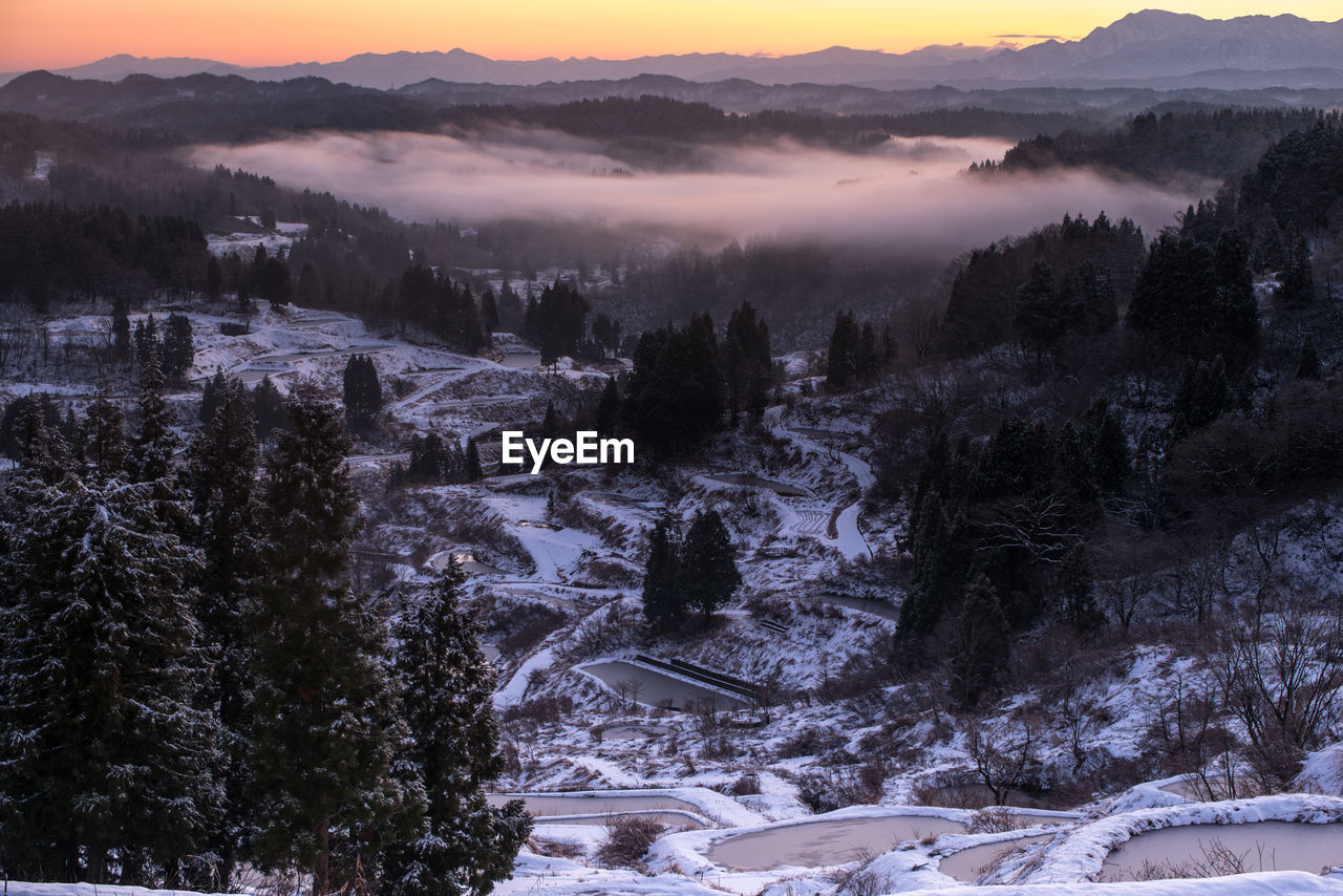 High angle view of trees on snow covered landscape