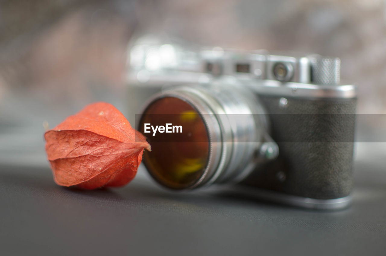 Close-up of winter cherry with camera on table