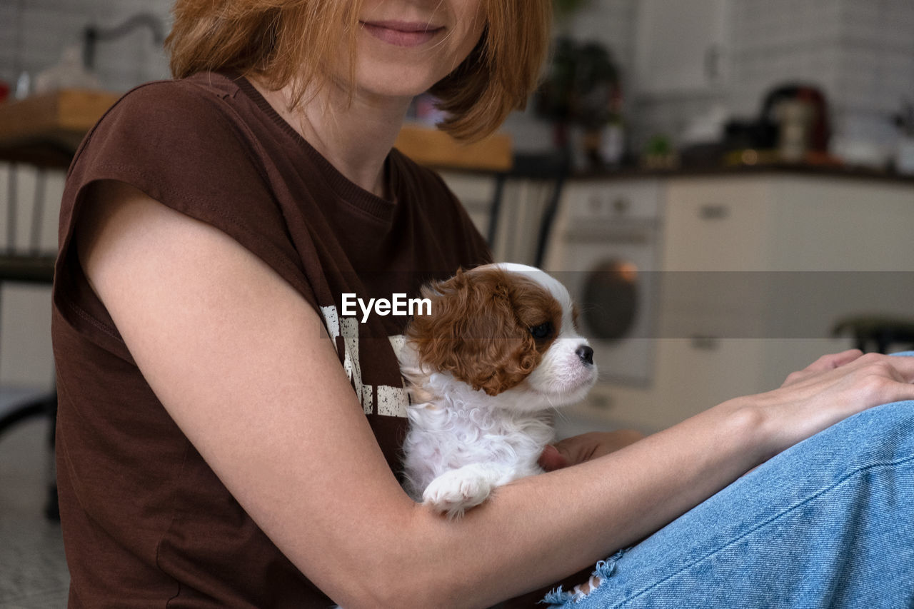 Cavalier king charles spaniel blenheim. close up portrait of cute dog puppy with woman hostess