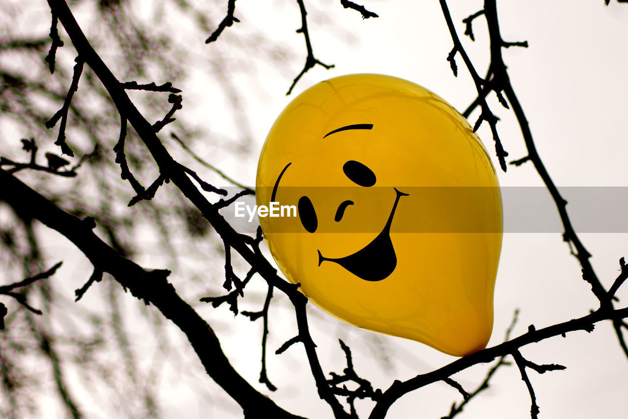 Low angle view of yellow balloon with human face on amidst bare tree branches