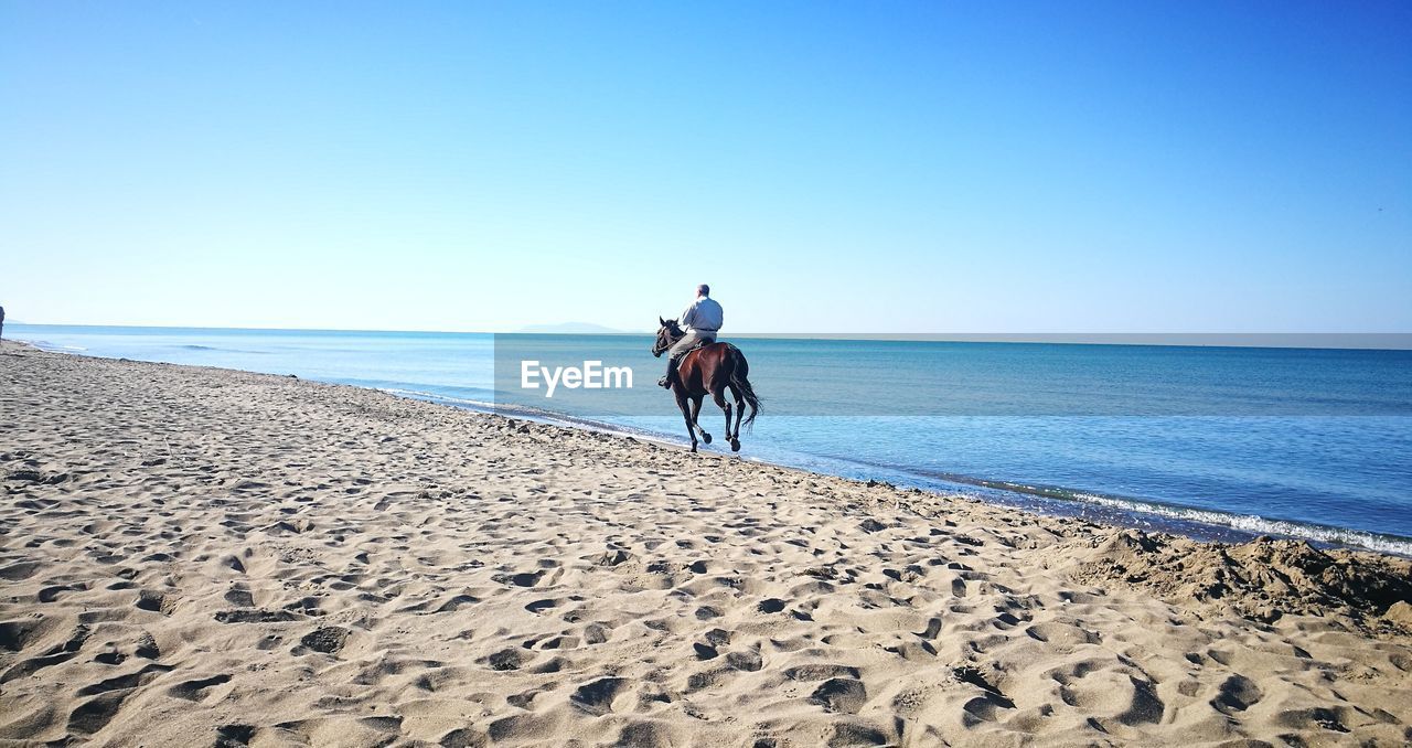 MAN RIDING HORSE AT BEACH