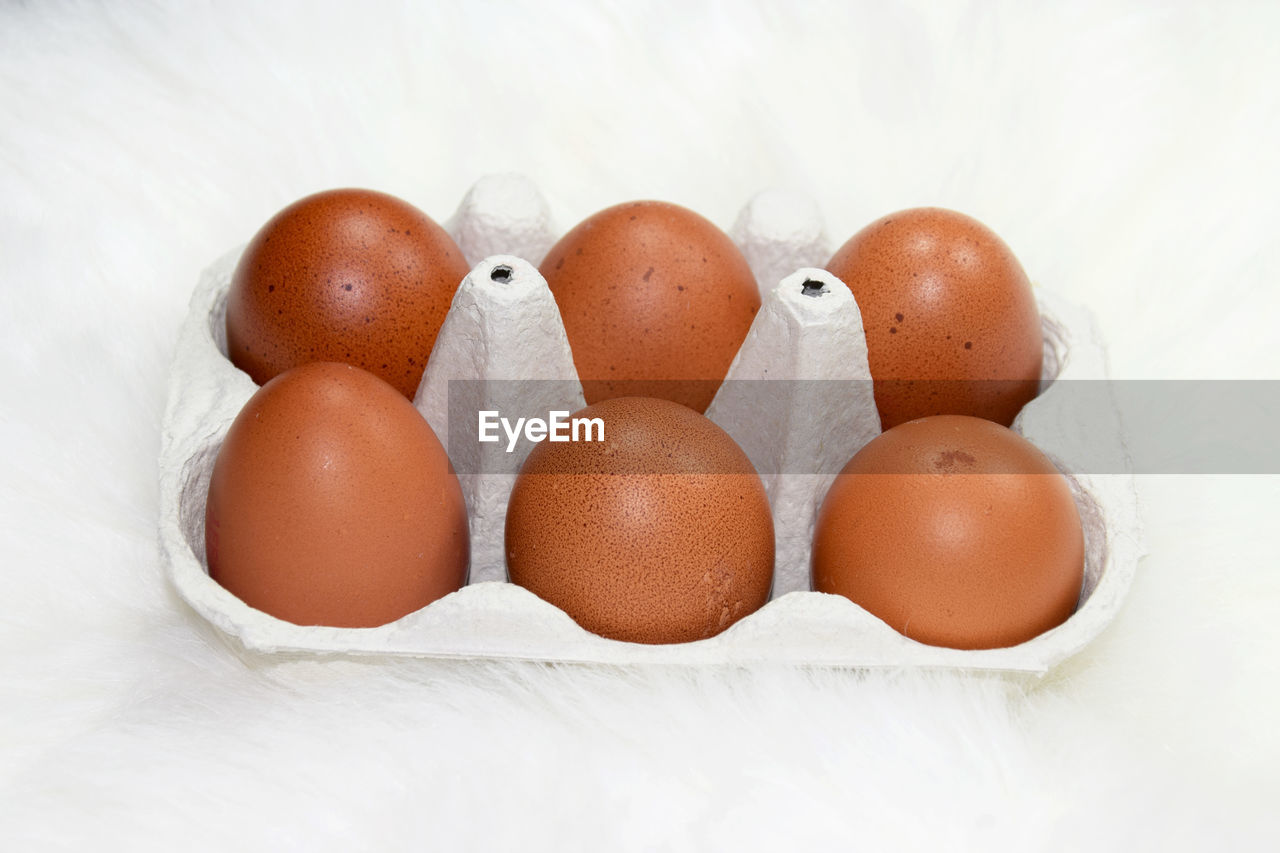 Fresh eggs in carton 