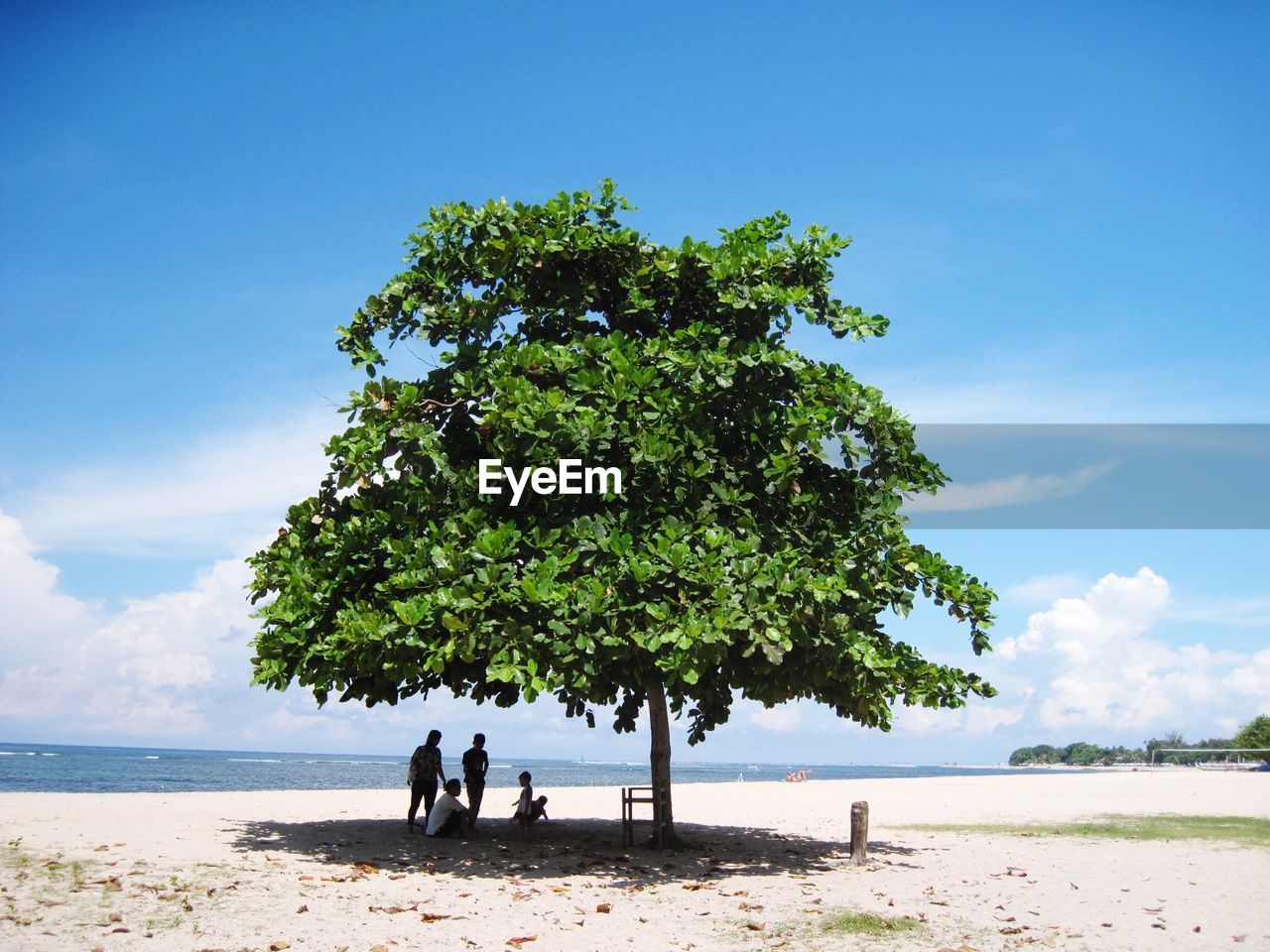 People under tree shade at jimbaran beach