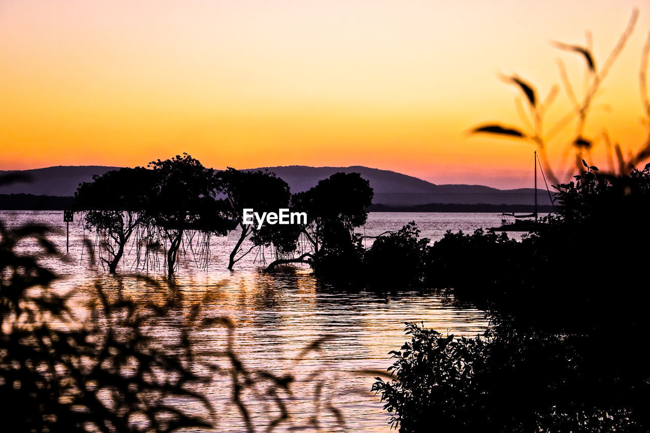 SILHOUETTE TREES ON LAKE AGAINST SKY DURING SUNSET