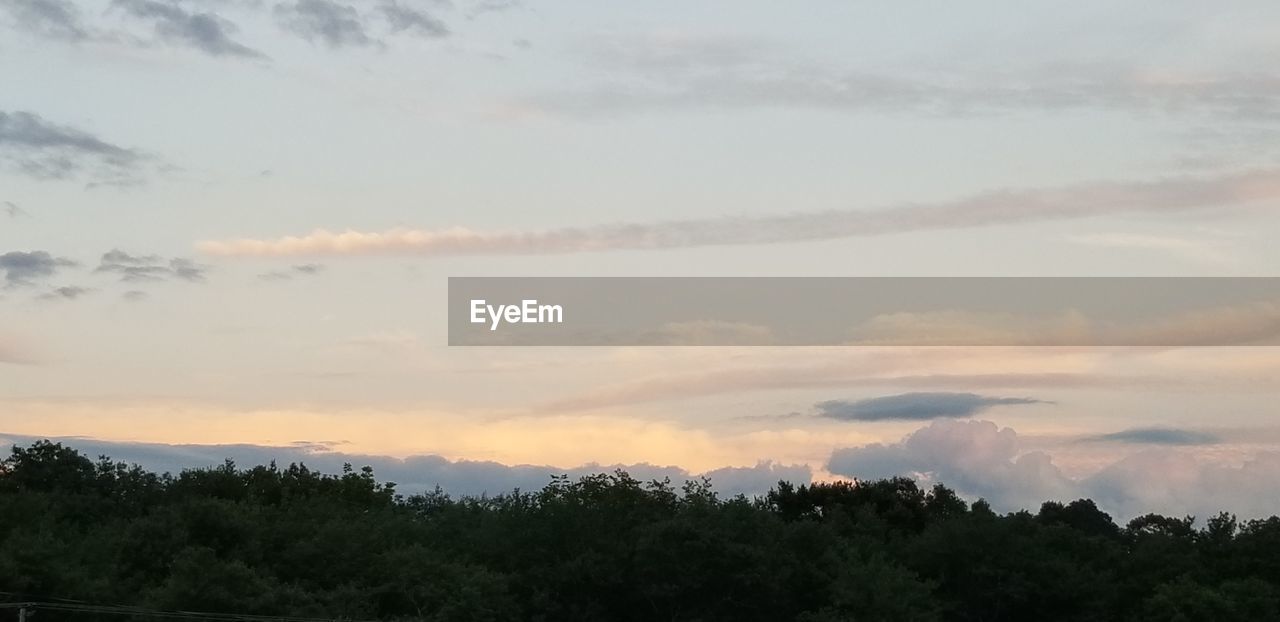 SCENIC VIEW OF TREES AGAINST SKY DURING SUNSET