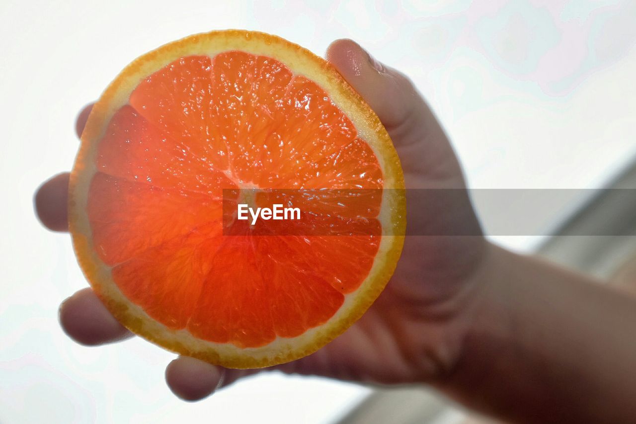 Close-up of hand holding orange slice