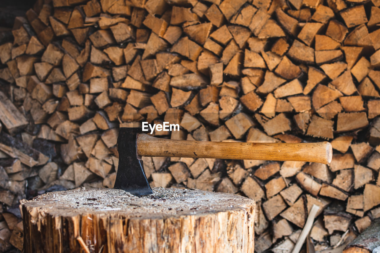 Stack of logs in forest