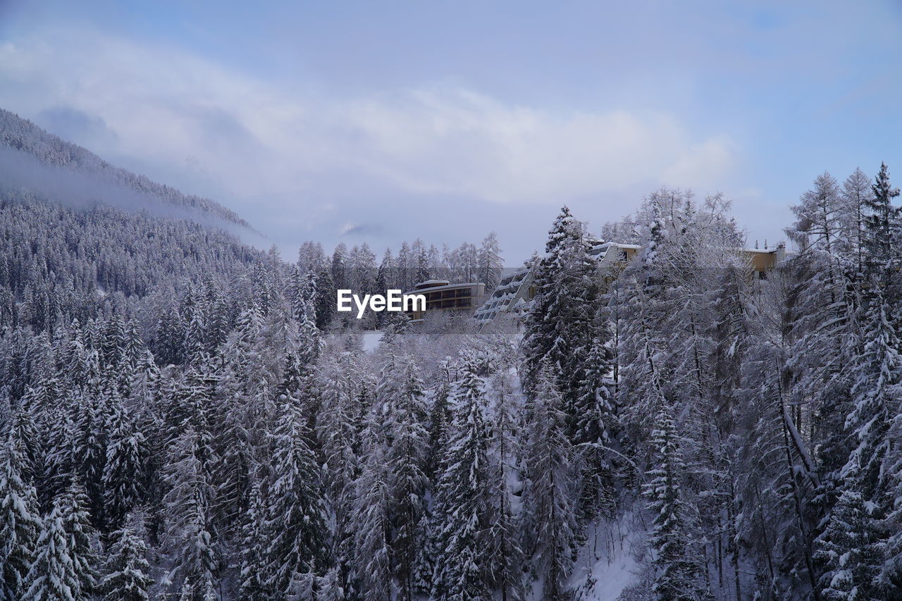 SCENIC VIEW OF SNOW COVERED LAND