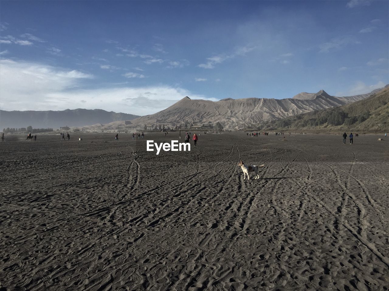 Scenic view of desert against sky