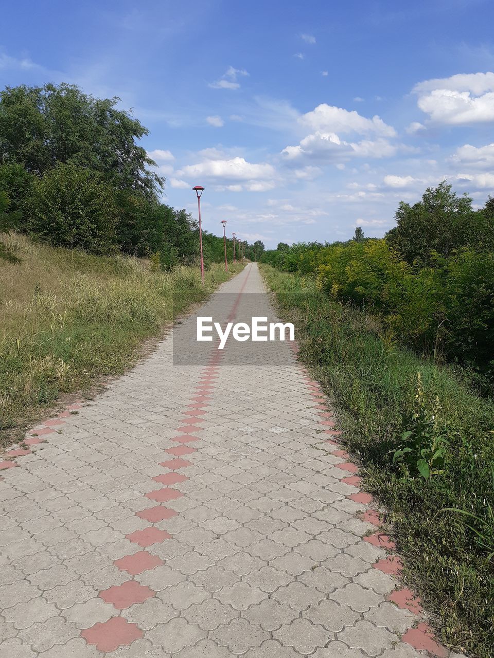 Empty road amidst trees against sky