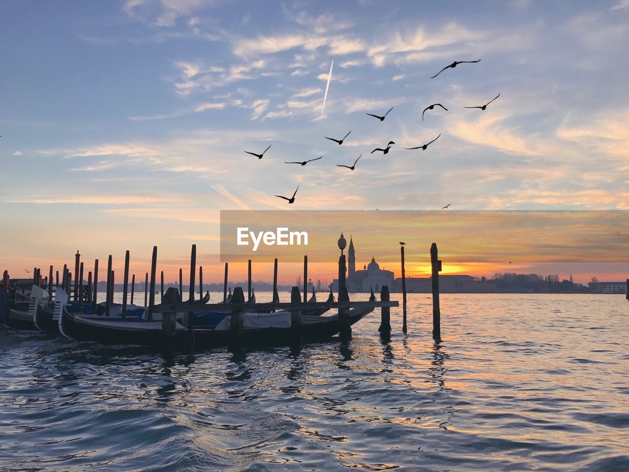 VIEW OF BIRDS IN SEA