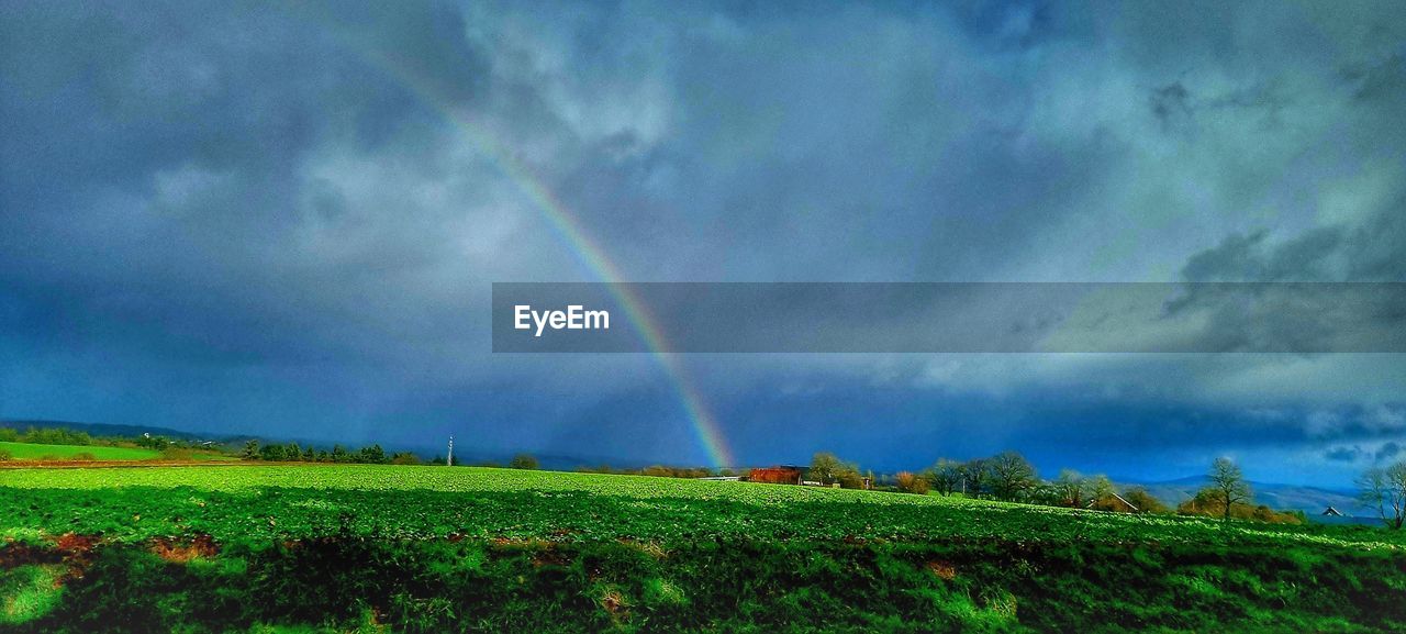 rainbow, cloud, environment, sky, beauty in nature, landscape, scenics - nature, plant, nature, land, storm, field, green, rural scene, tranquility, no people, tranquil scene, multi colored, grassland, rain, storm cloud, dramatic sky, thunderstorm, plain, agriculture, outdoors, grass, wet, growth, panoramic, idyllic, crop, prairie, non-urban scene, day, meadow