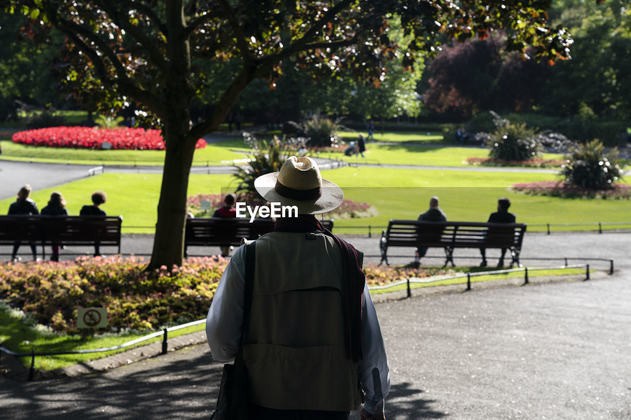 Rear view of men standing in park