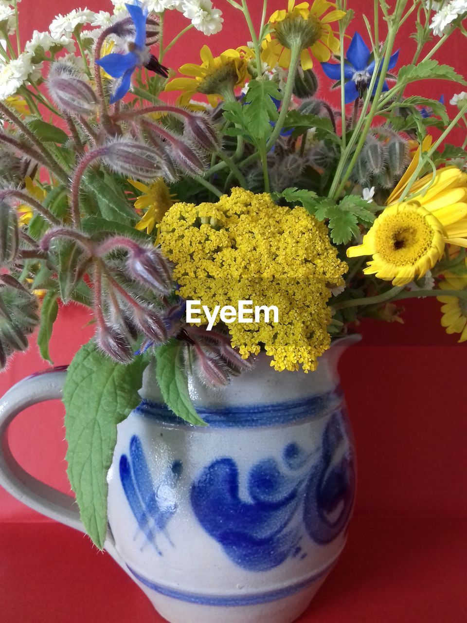 HIGH ANGLE VIEW OF YELLOW FLOWER POT