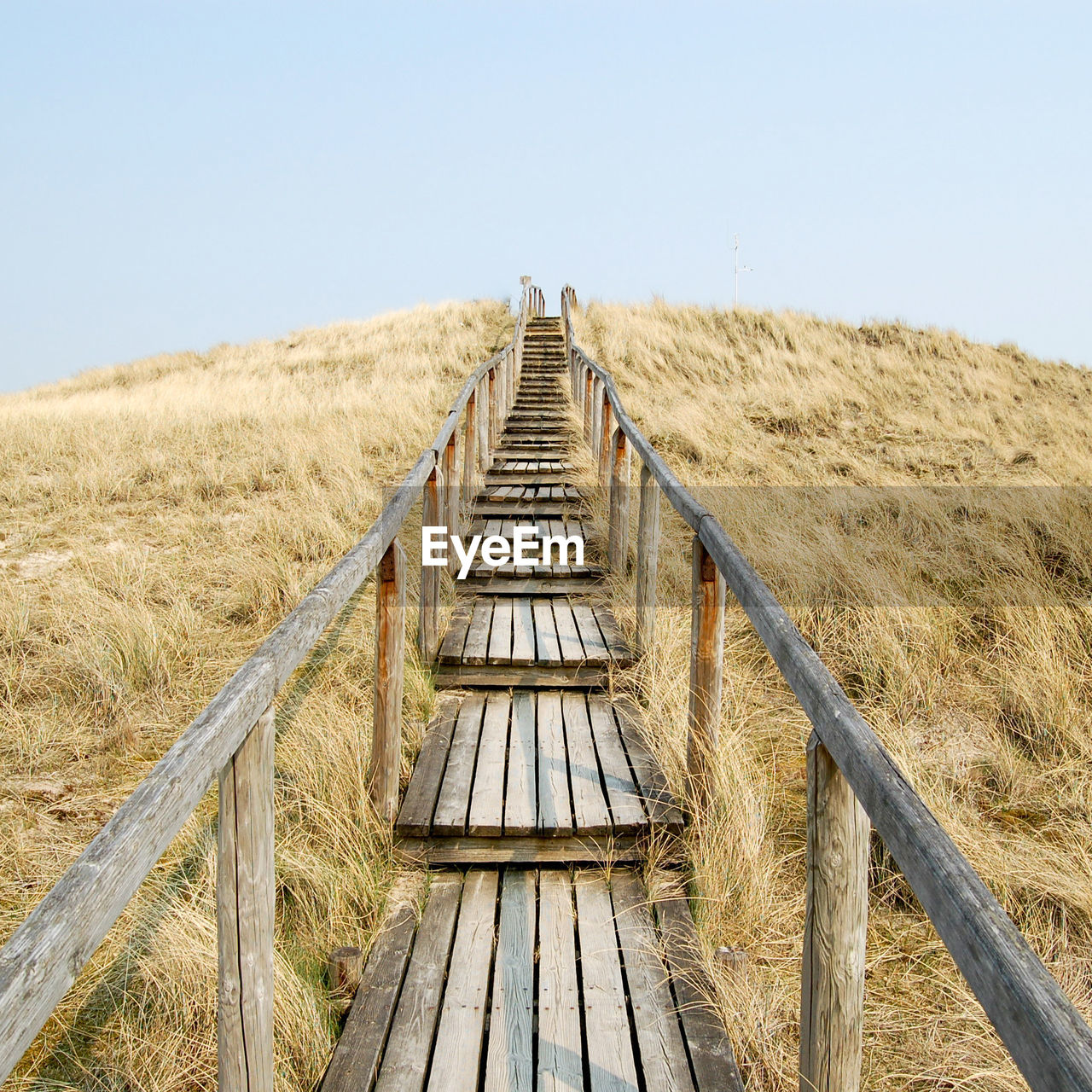 Wooden bridge on grass field