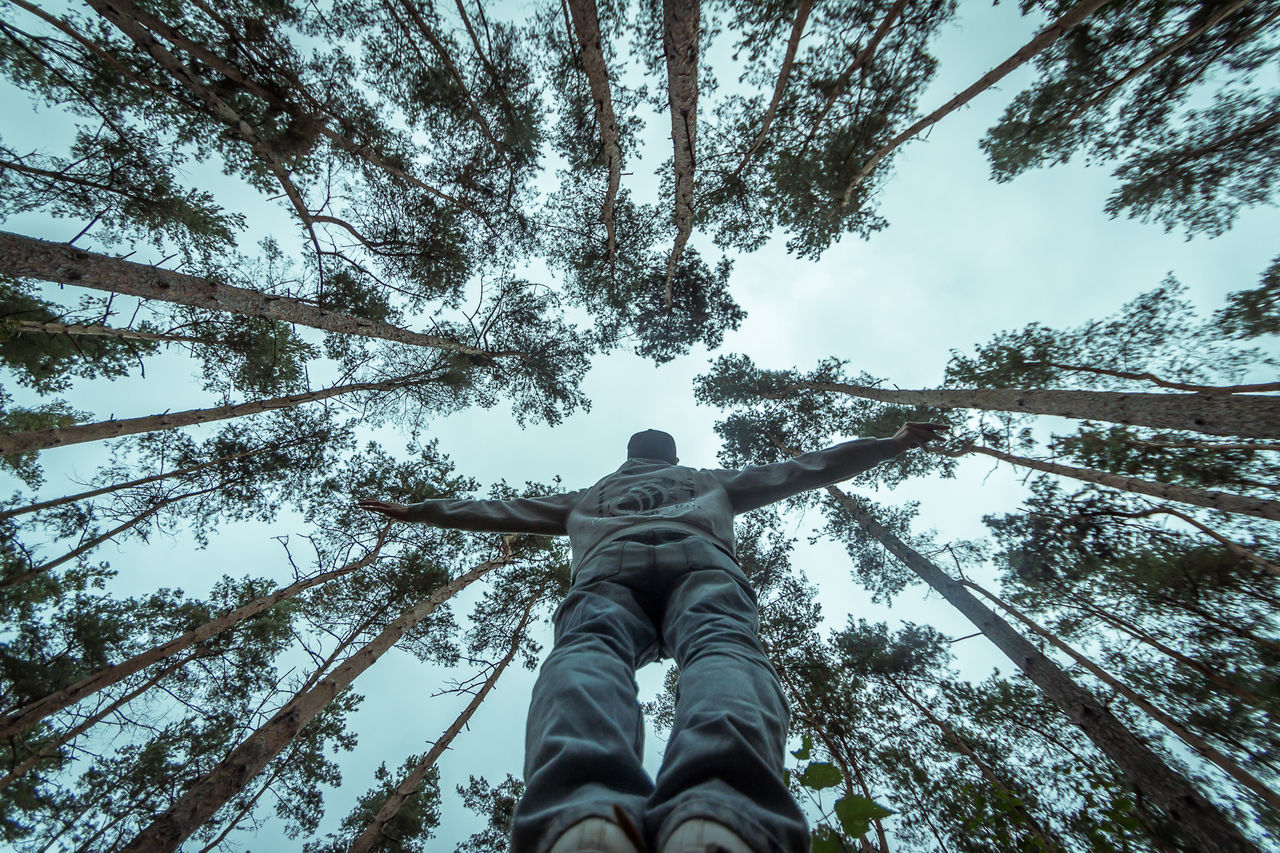 Low angle view of tree against sky