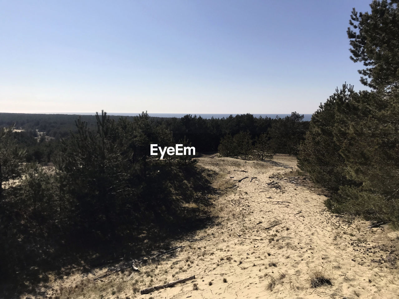 PANORAMIC VIEW OF LAND AGAINST CLEAR SKY