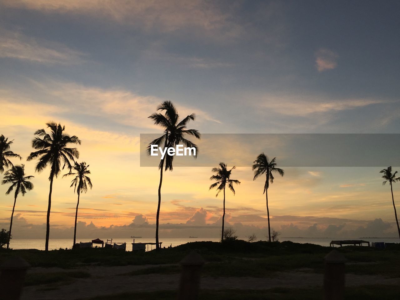 SILHOUETTE PALM TREES ON BEACH AGAINST SUNSET SKY