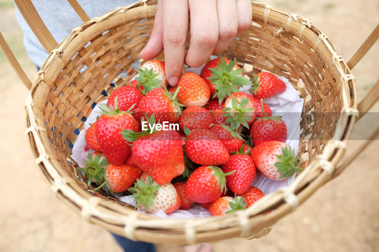 High angle view of strawberries in basket