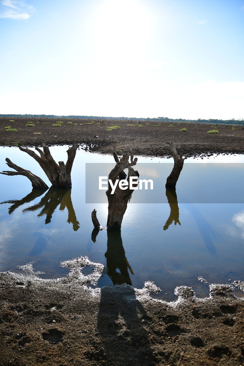 REFLECTION OF TREE ON WATER AGAINST SKY