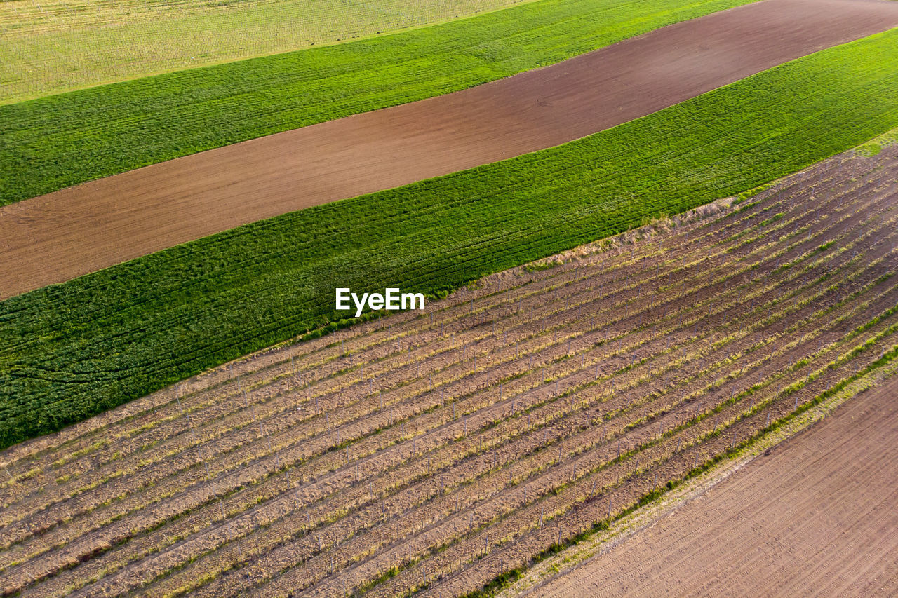 SCENIC VIEW OF FARM