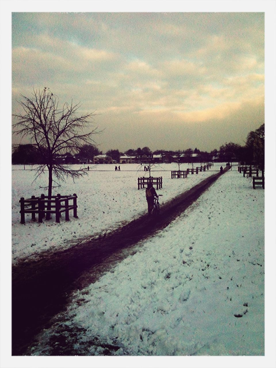 Park in winter