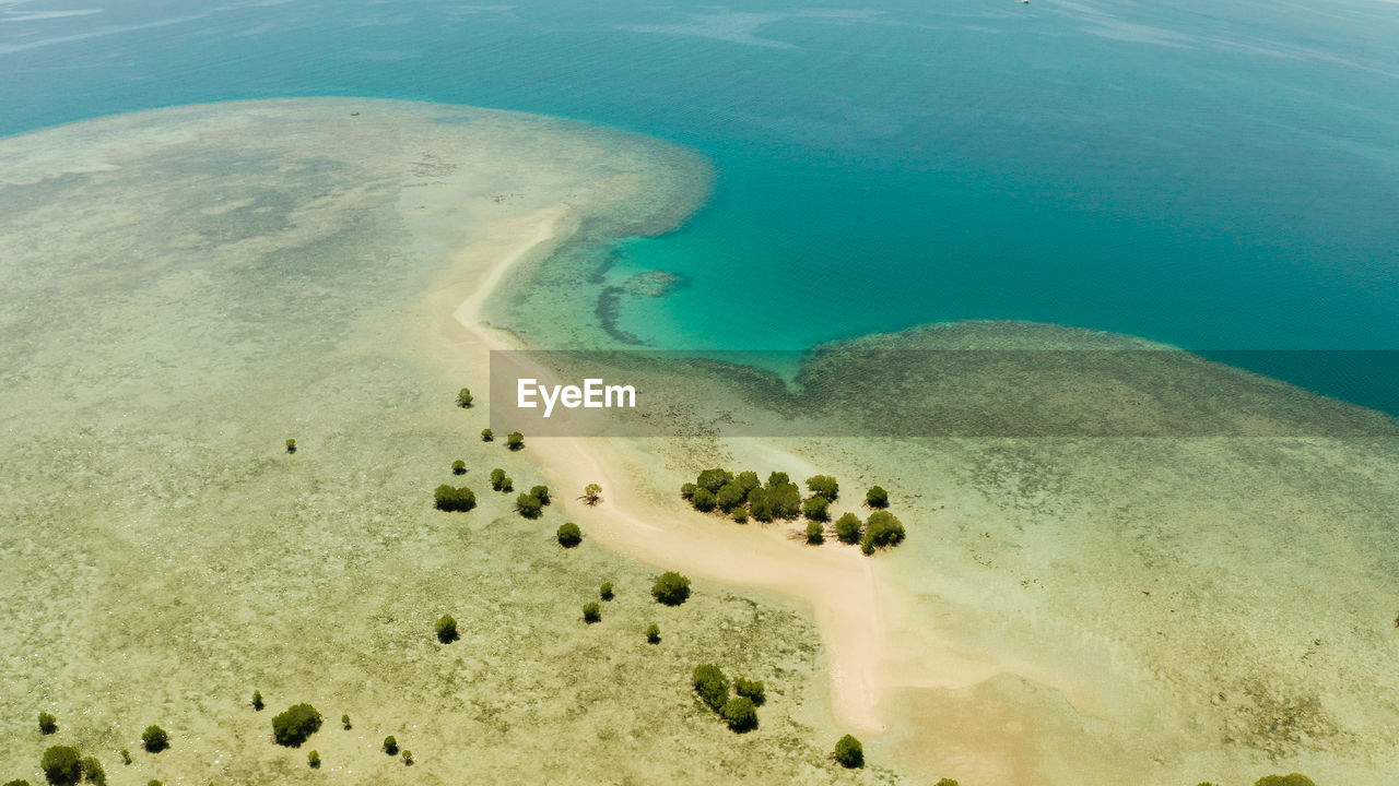 Mangrove trees on coral reef with sand bar surrounded by sea blue water. 