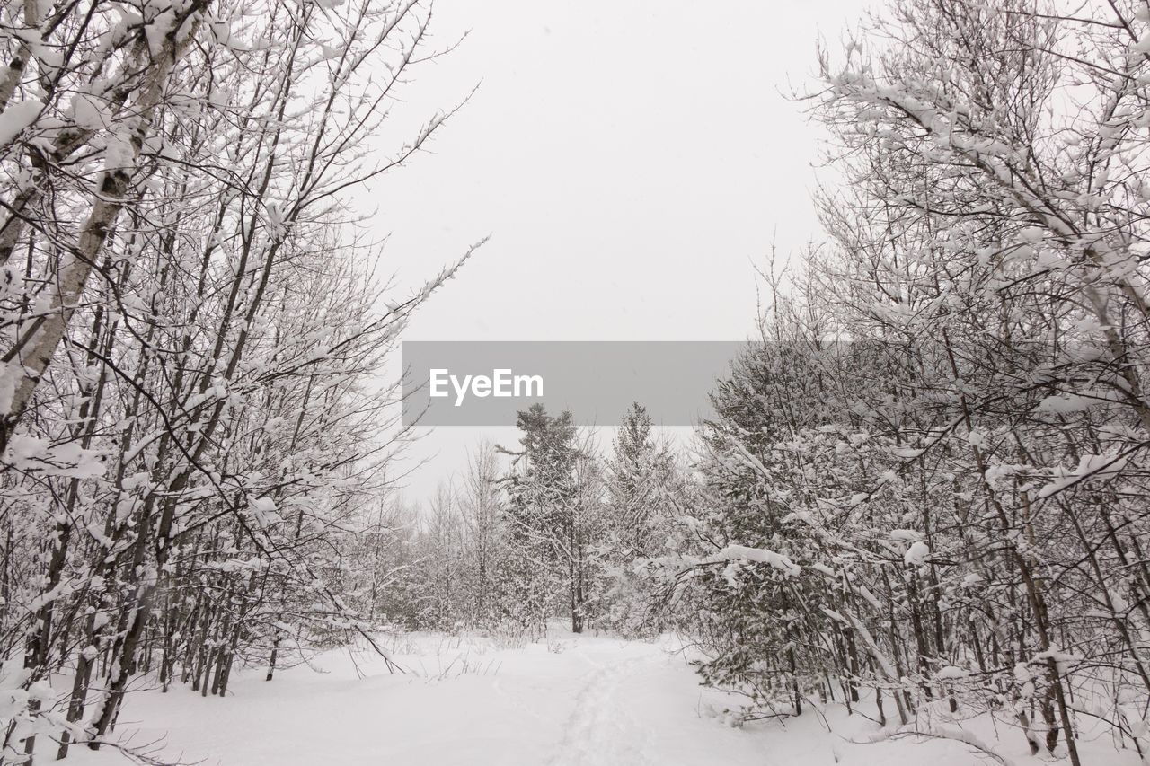 SNOW COVERED LANDSCAPE AGAINST SKY