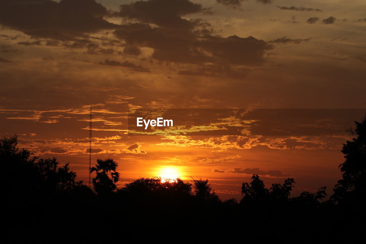 Silhouette trees against sky during sunset