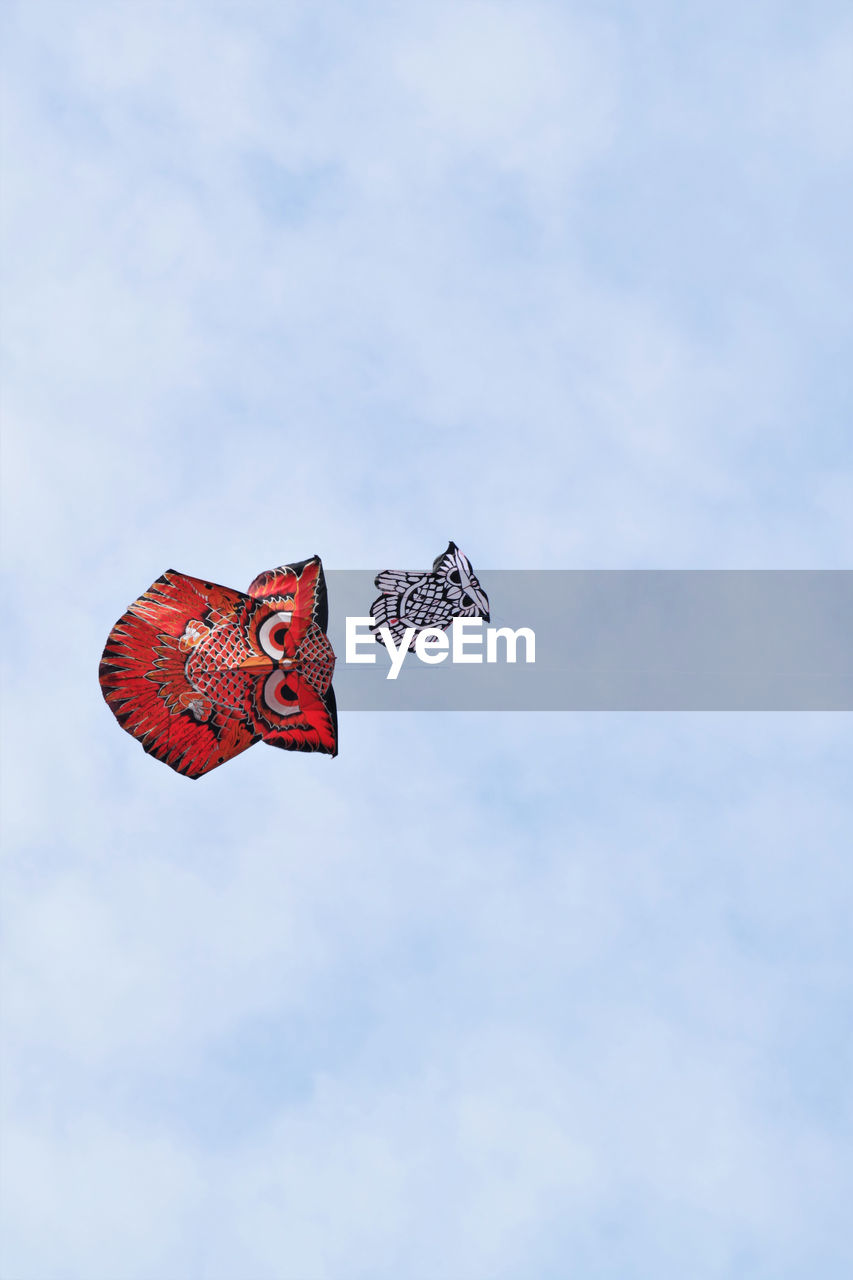 Low angle view of a kites flying