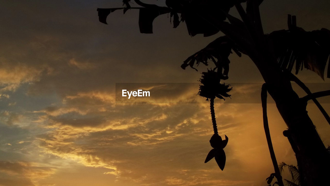 LOW ANGLE VIEW OF SILHOUETTE TREE HANGING AGAINST SKY