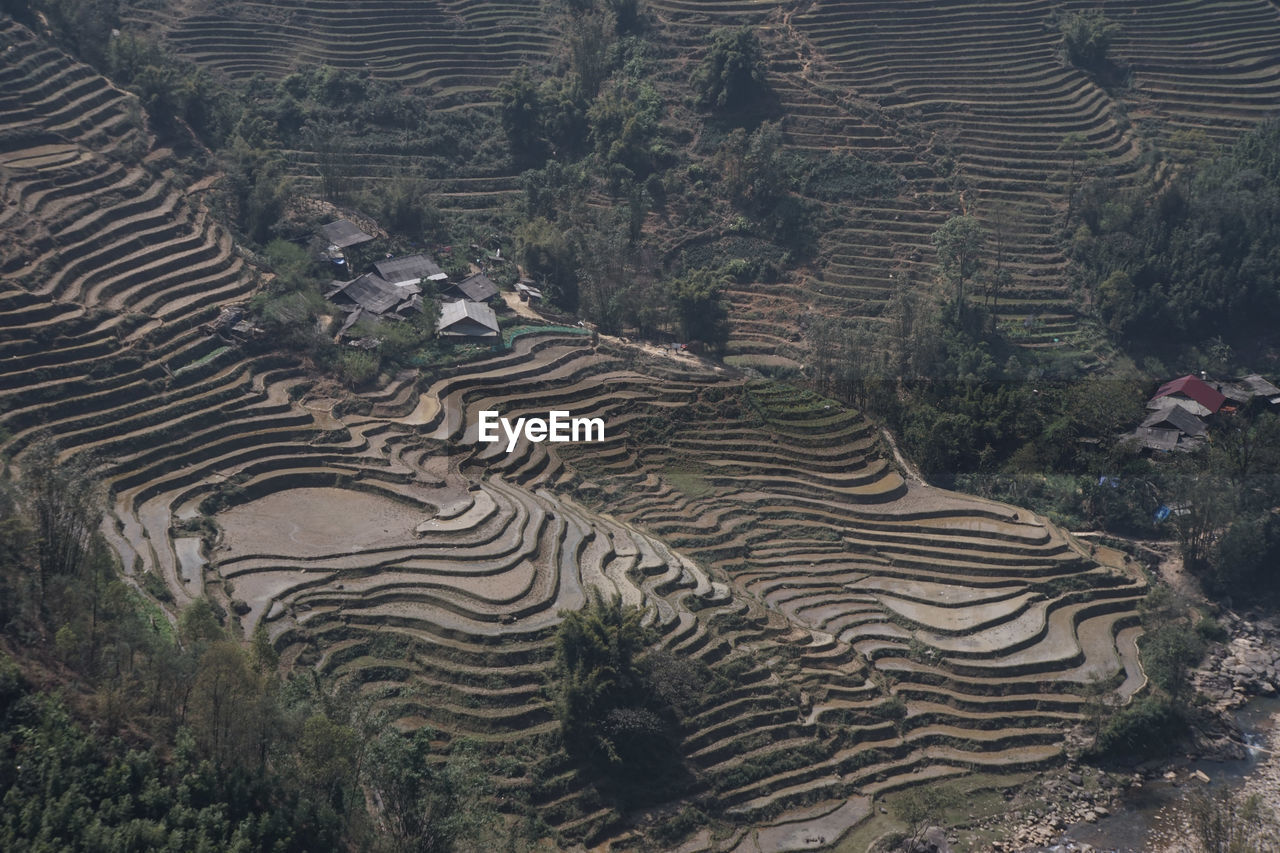 High angle view of agricultural field