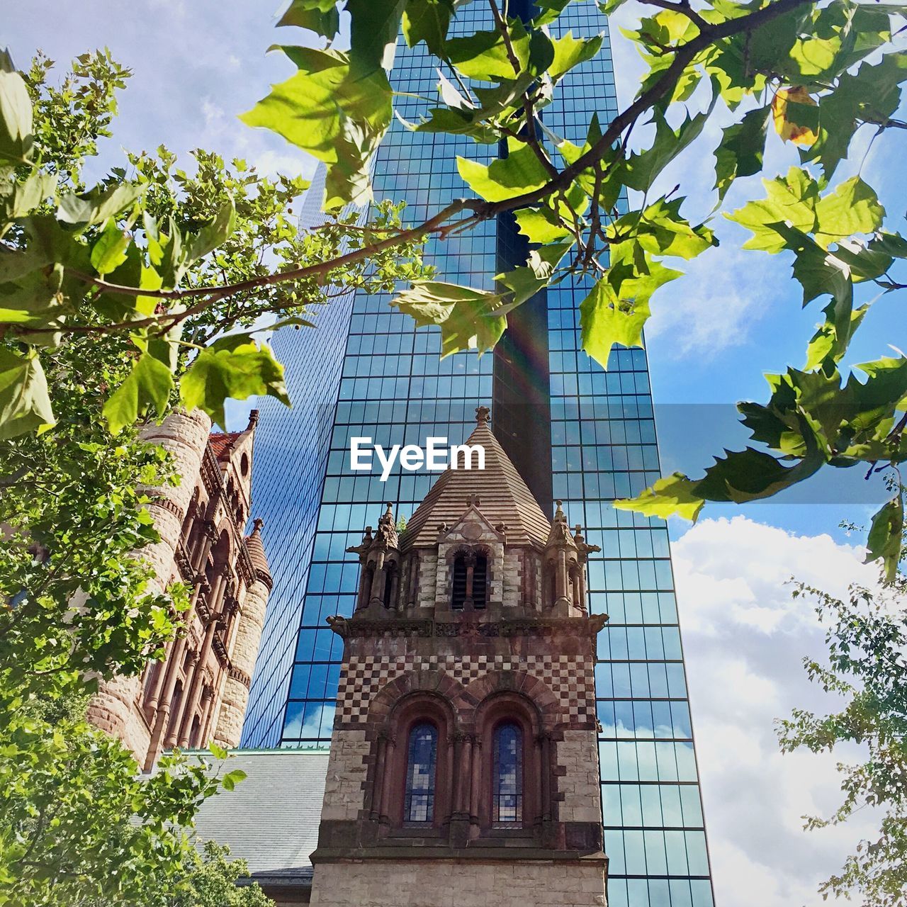 Low angle view of trees against sky