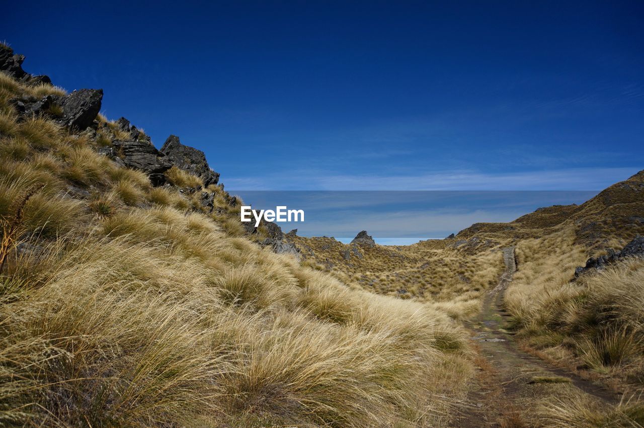 Walking up the isthmus peak through a dried and yellow path of grass