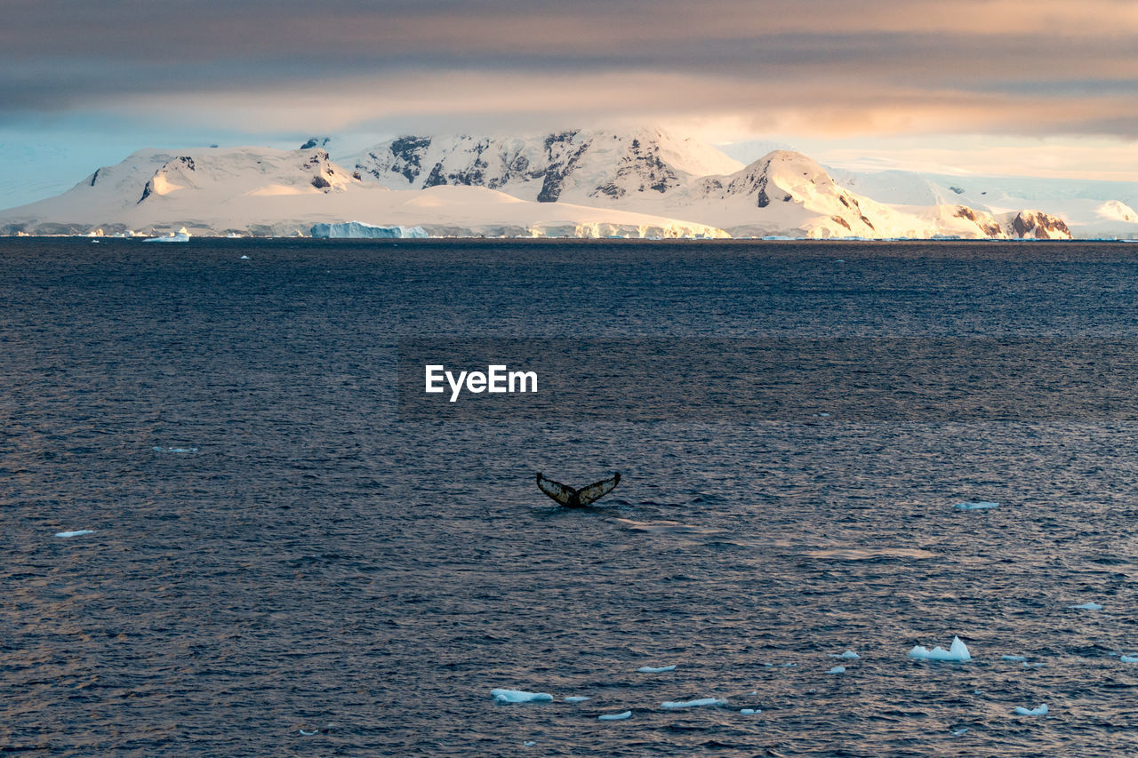 Scenic view of sea against mountain during winter