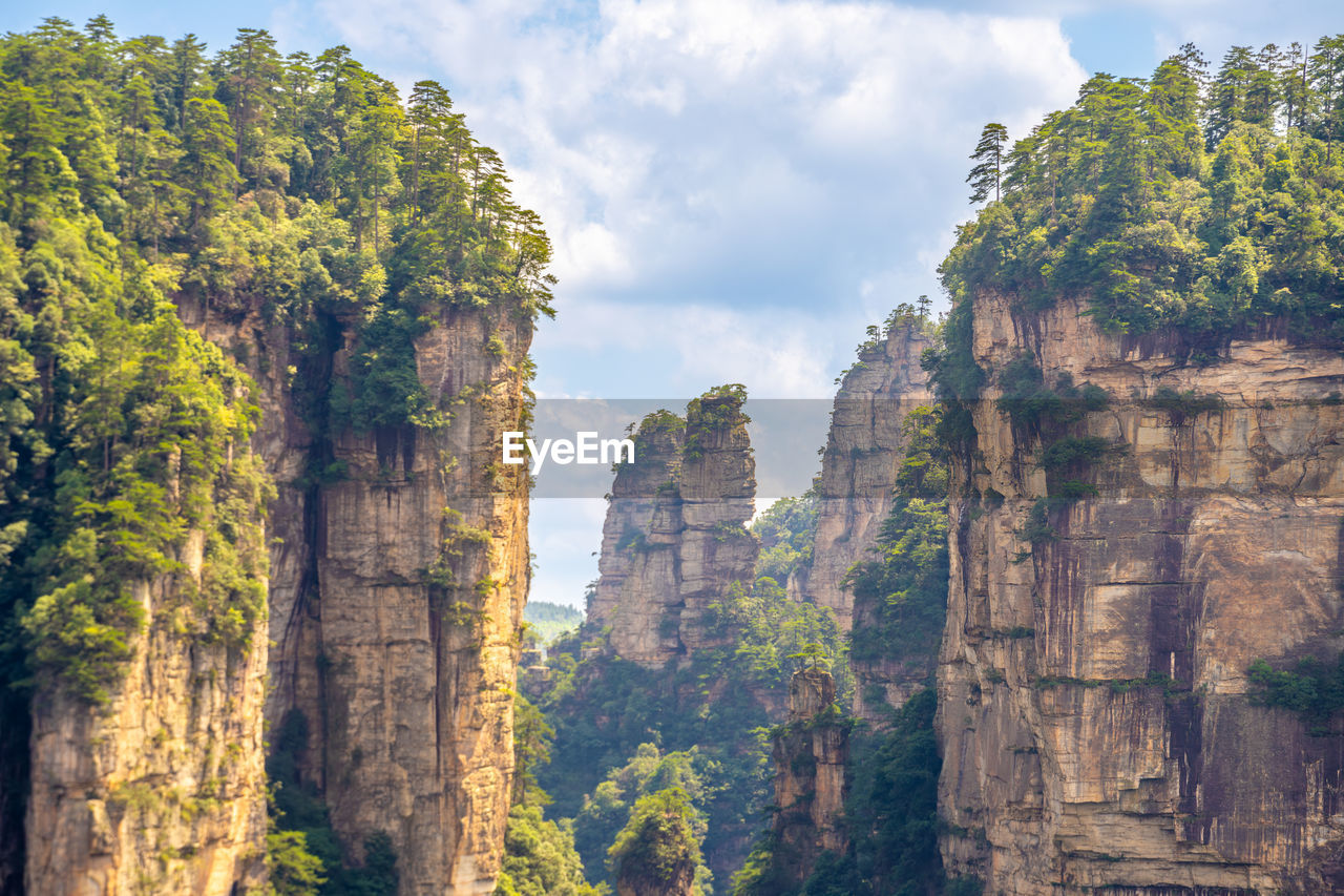 tree, plant, rock, travel, nature, travel destinations, land, environment, landscape, scenics - nature, rock formation, sky, beauty in nature, tourism, cloud, no people, cliff, forest, mountain, outdoors, national park, non-urban scene, history, architecture, park, canyon, tranquility, the past, terrain, day, ancient