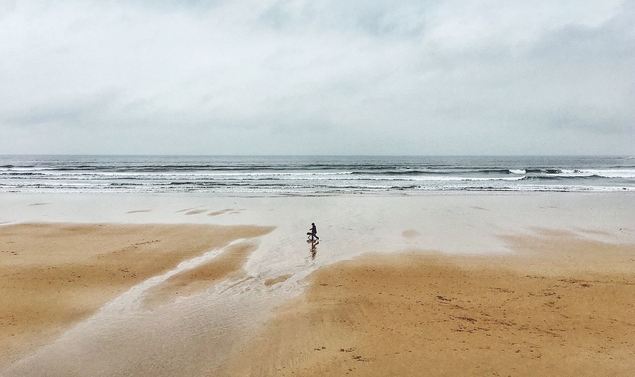 Person walking with dog on beach