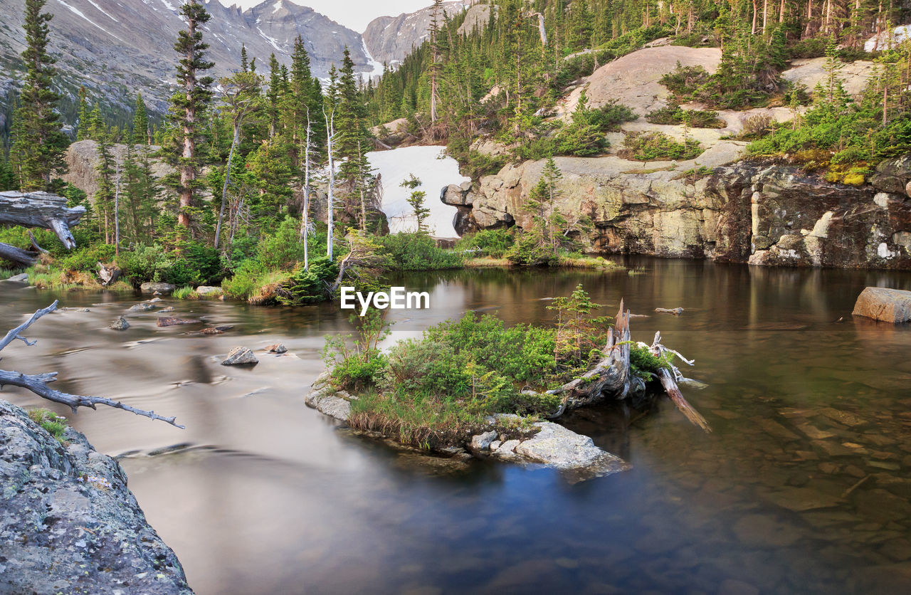 Fallen tree on lake against mountain