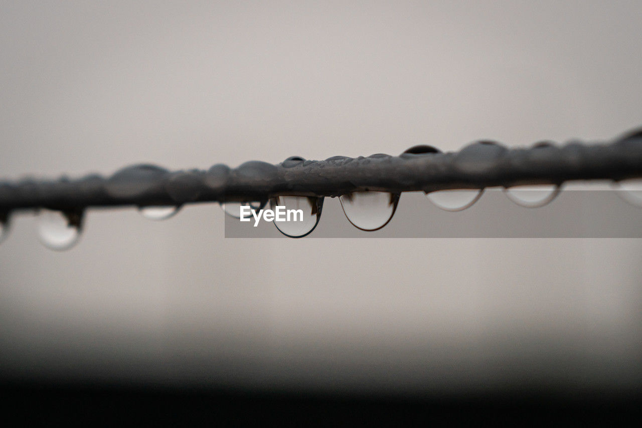 close-up, water, drop, no people, fence, metal, macro photography, wet, black, nature, wire, protection, line, branch, wire fencing, barbed wire, black and white, security, white, focus on foreground, monochrome, rain, outdoors, selective focus, light, copy space, freezing, monochrome photography, sky