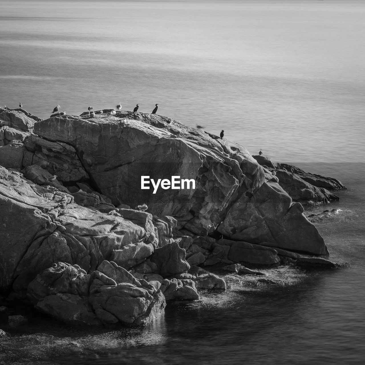 water, sea, black and white, rock, coast, nature, vehicle, monochrome, monochrome photography, wave, ocean, beauty in nature, scenics - nature, beach, land, tranquility, tranquil scene, day, no people, shore, terrain, rock formation, outdoors, non-urban scene, sky, horizon over water, nautical vessel, animal, wildlife, animal themes