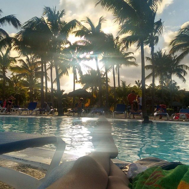 PALM TREES ON SHORE