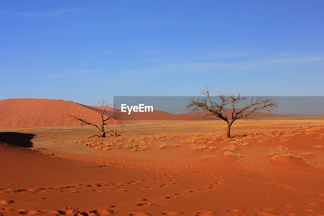 Scenic view of desert against blue sky