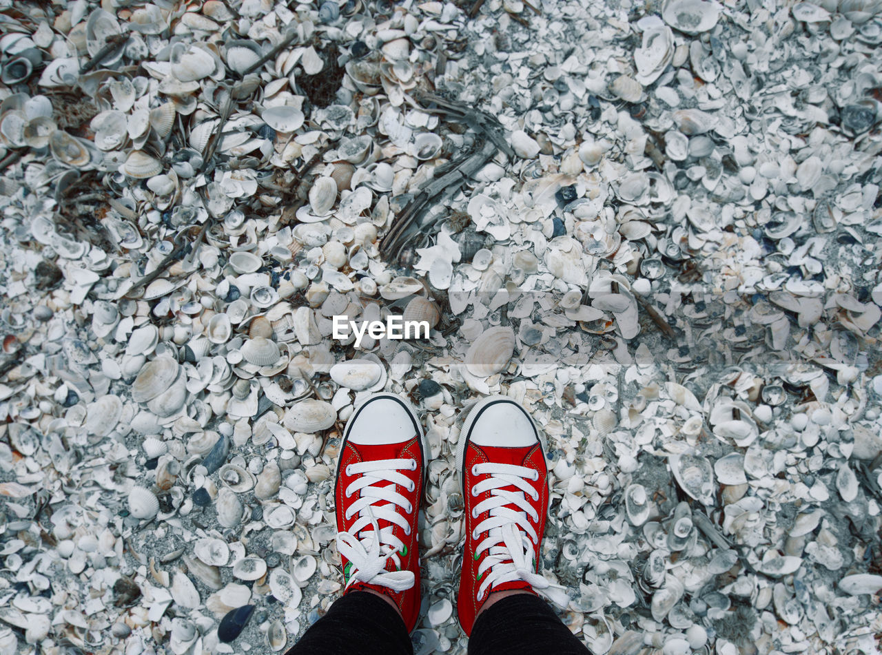 Low section of man wearing red canvas shoes standing on seashells at beach