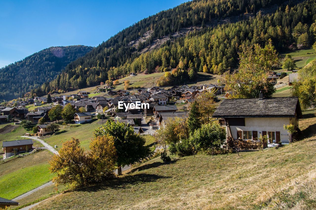 TREES AND HOUSES IN VILLAGE