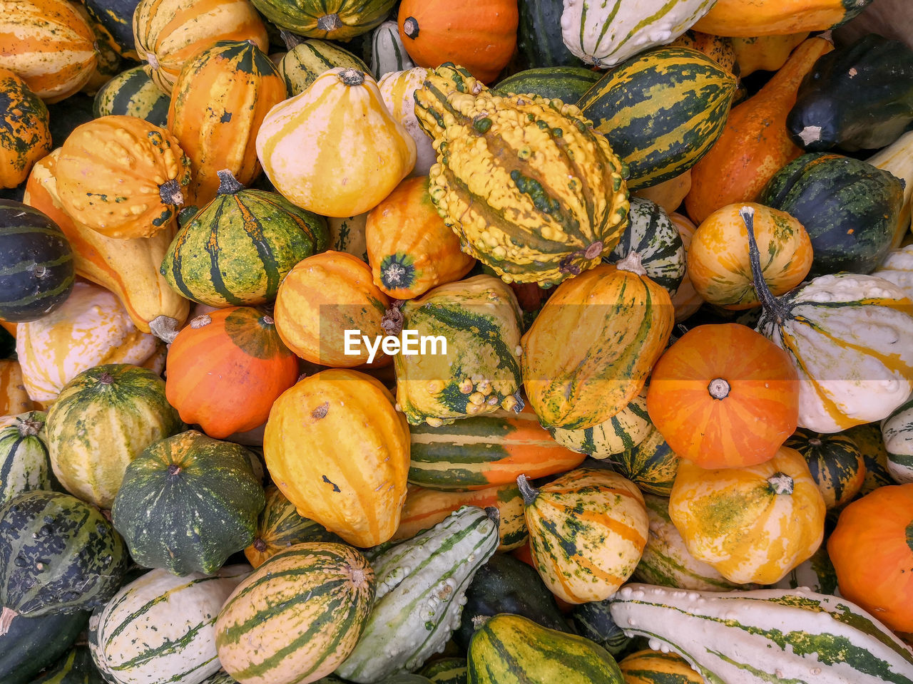 FULL FRAME SHOT OF PUMPKINS IN MARKET