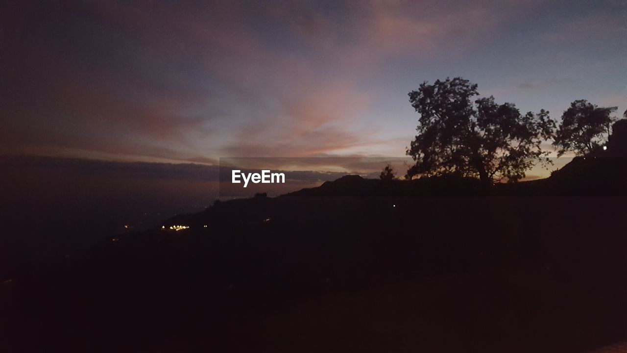 SILHOUETTE TREE AGAINST SKY AT SUNSET