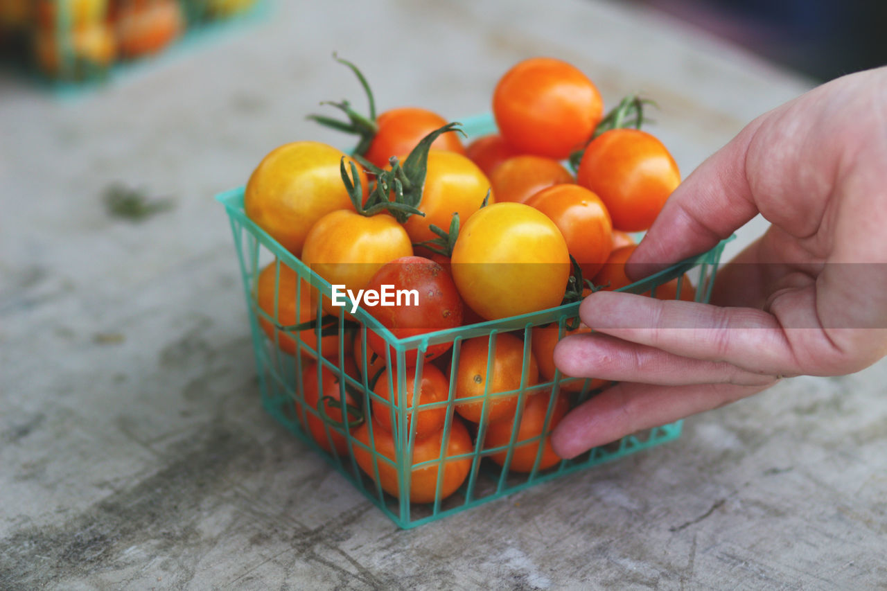 Cropped image of hand holding cherry tomatoes in container