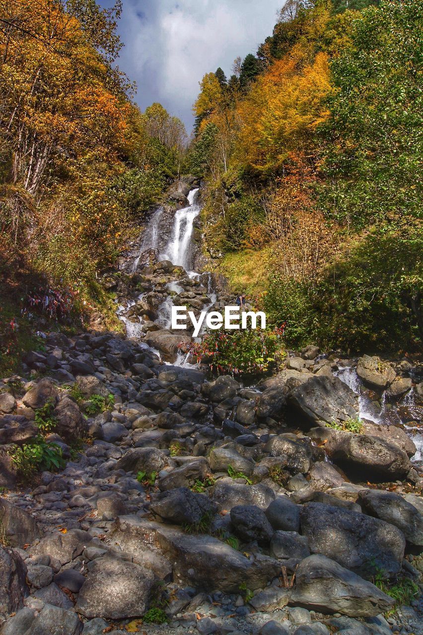 View of waterfall in forest