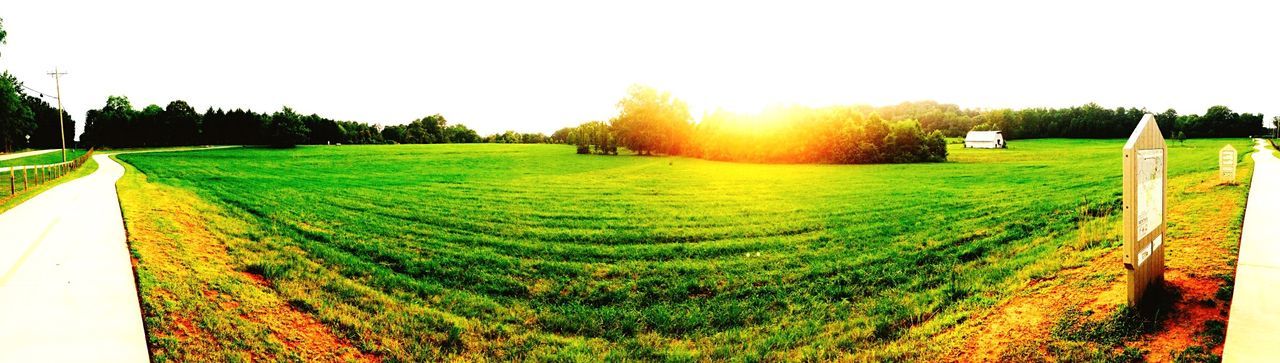 SCENIC VIEW OF GRASSY FIELD AGAINST SKY