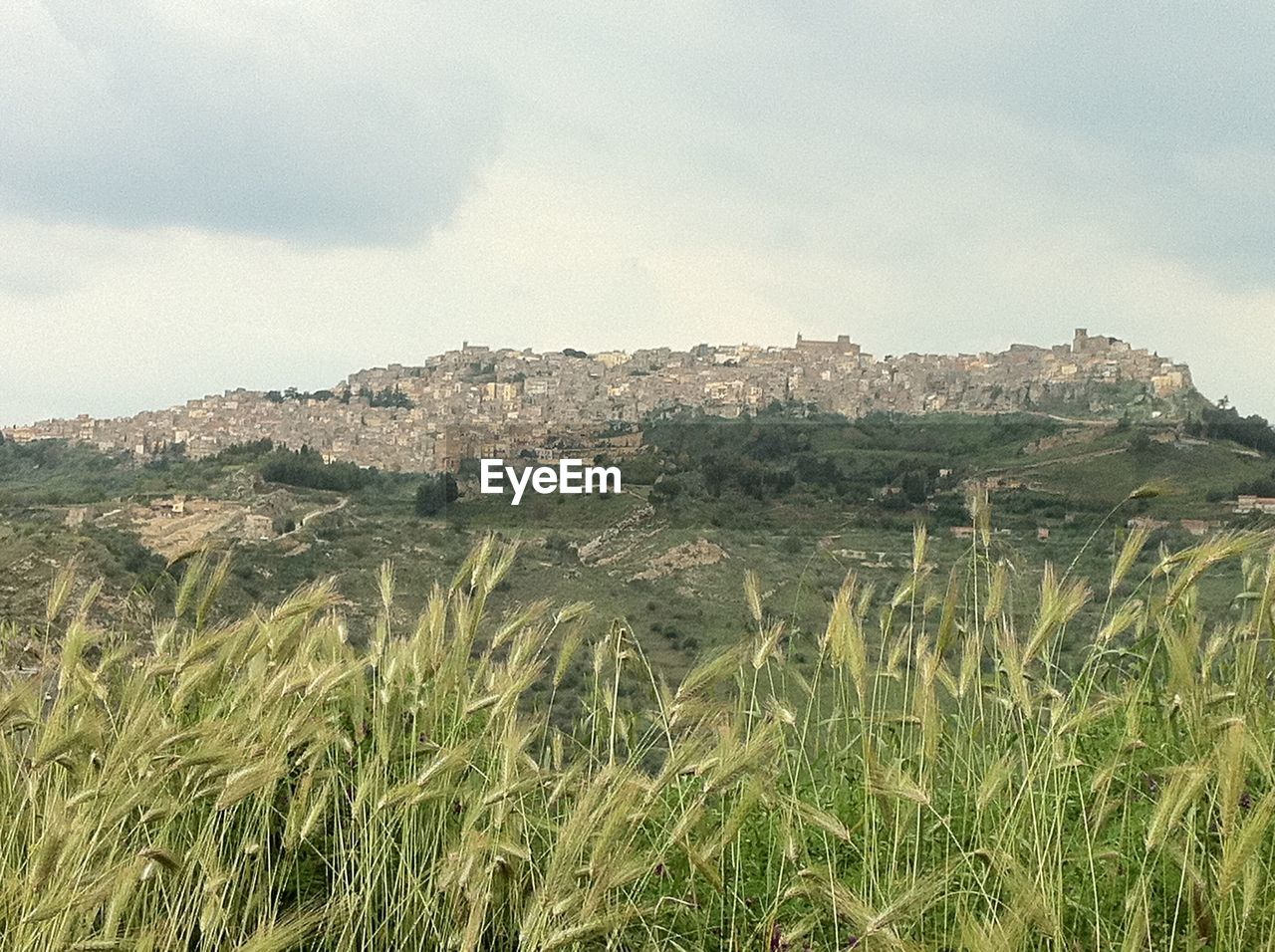 SCENIC VIEW OF FARMS AGAINST SKY